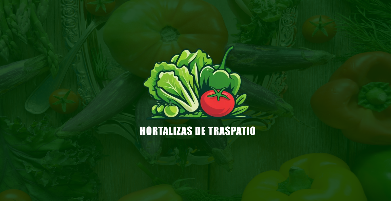 BannerHome