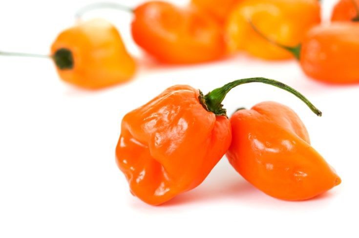 habanero